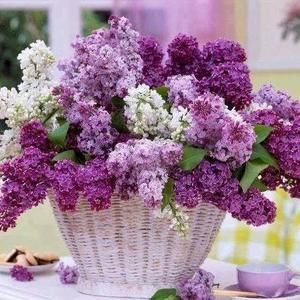 Meet your Posher, Cathy